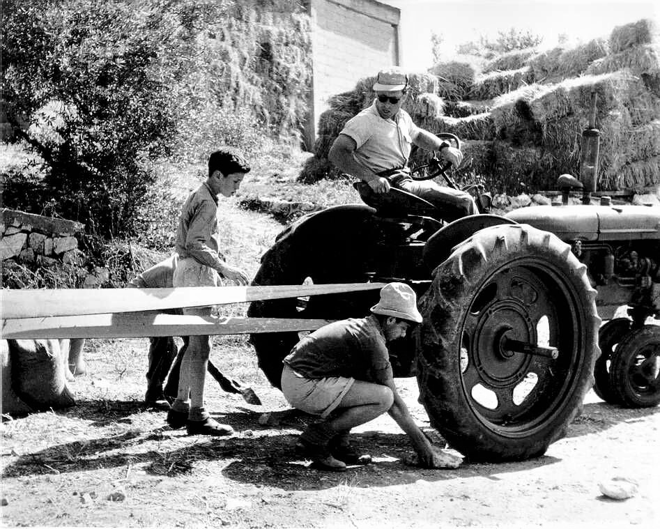 ילדי עליית הנוער, מאיר שפייה, 1956. צילום: הייזל גרינוולד (PHG\1087177)