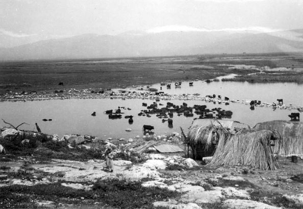 החרמון צופה על אגם החולה לפני ייבושו, תחילת המאה העשרים