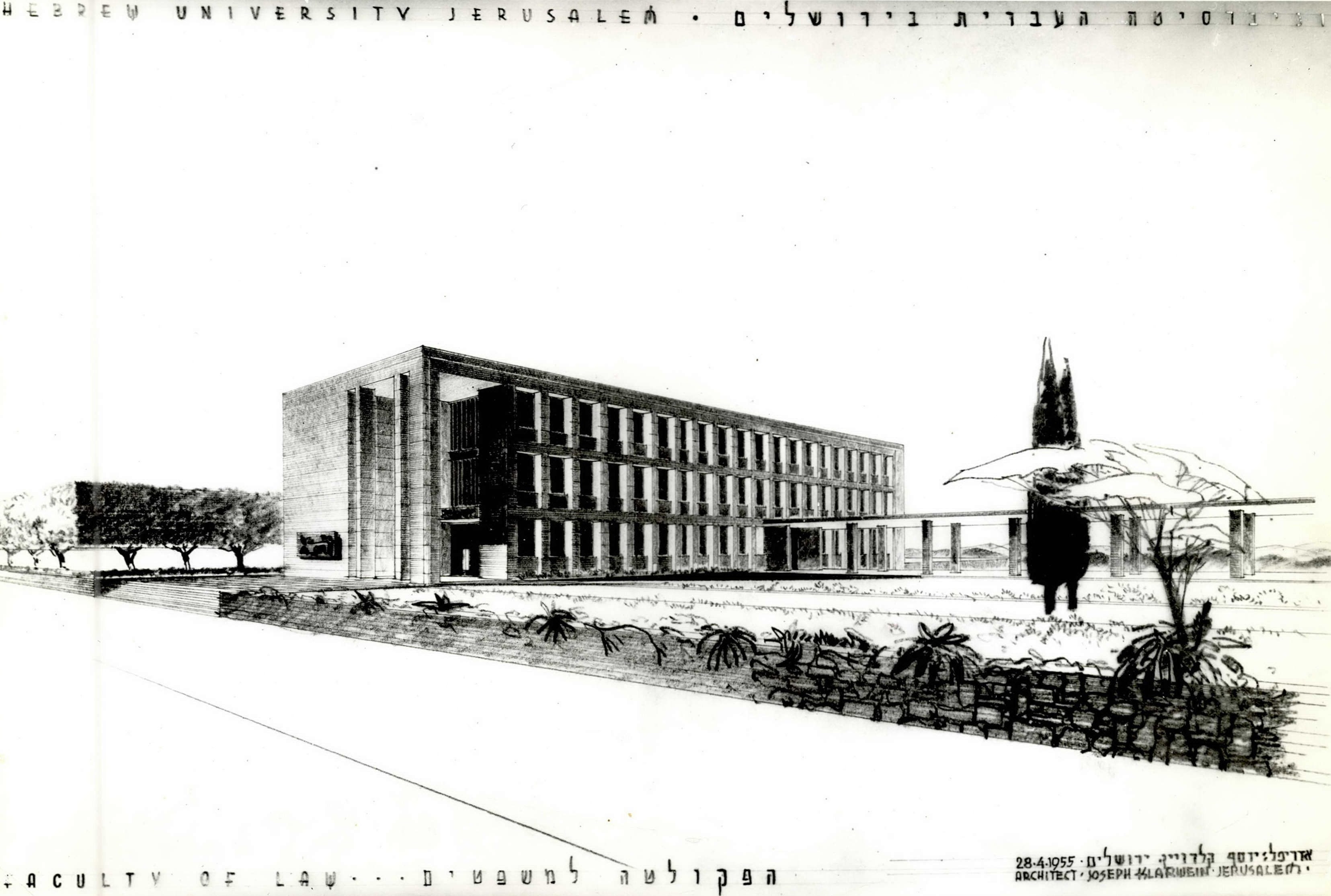 פרספקטיבה של בניין רוז בגבעת רם