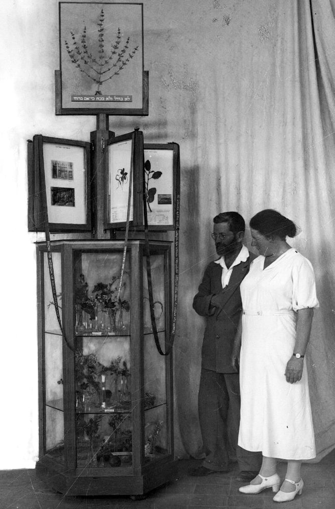 חנה ואפרים הראובני לצד תצוגת פריטים מהמוזאון שהקימו, 1934