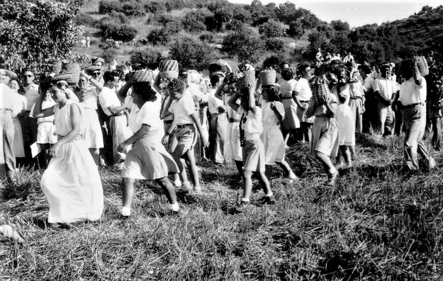 חברי קיבוץ אלונים נושאים ביכורים על כתפיהם בחג השבועות, 1946 (PHG\1007942)