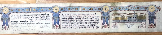 TZ1\49