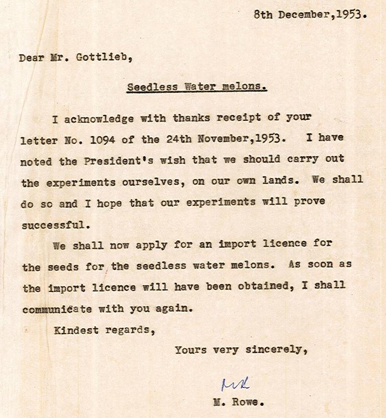 מקס רואו מעדכן את רוברט גוטליב כי הוחלט לרכוש זרעי אבטיחים חסרי גרעינים, 8.12.1953 