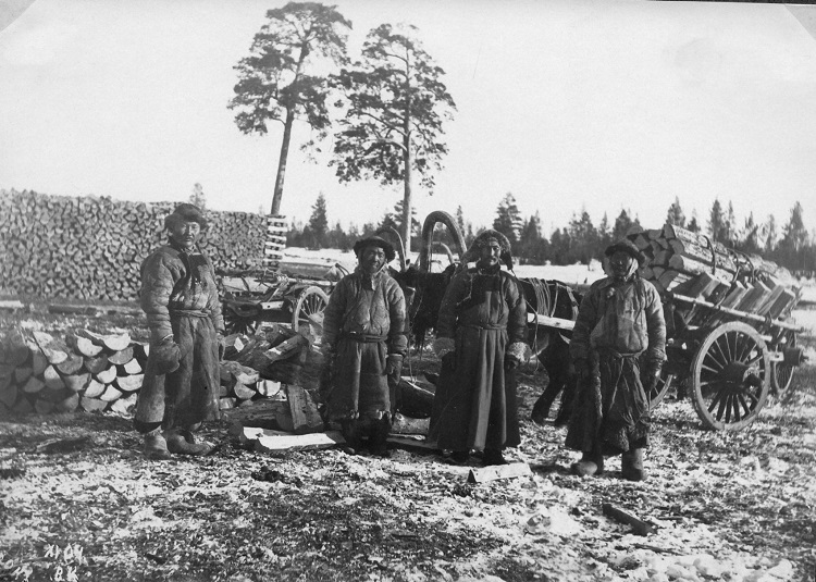 חבל מנצ'וריה (PHAL\1660113​) 