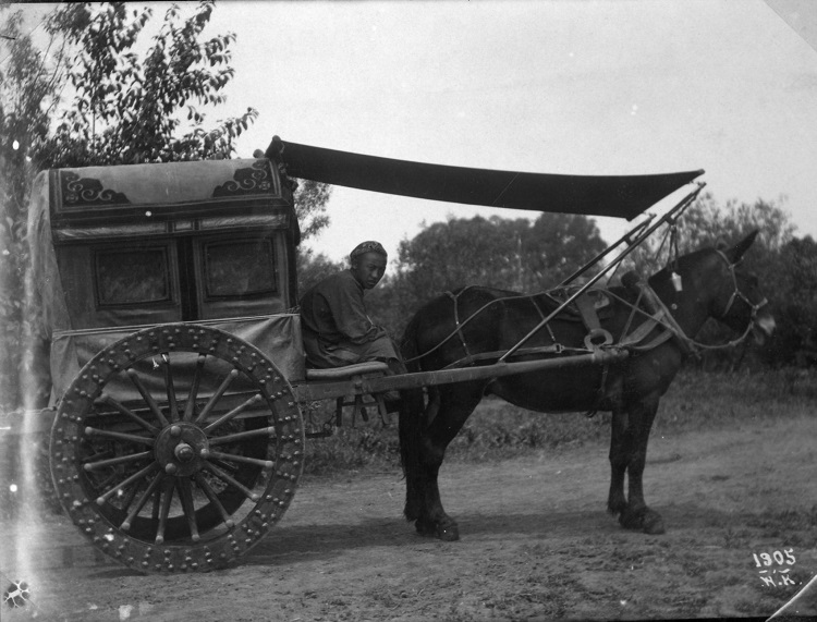 הצבא הרוסי בסין, מנופי המקום (PHAL\1660143​)