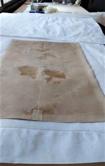 לאחר השטיפה הנייר הרטוב הונח בין שני גיליונות נייר סופג לייבוש