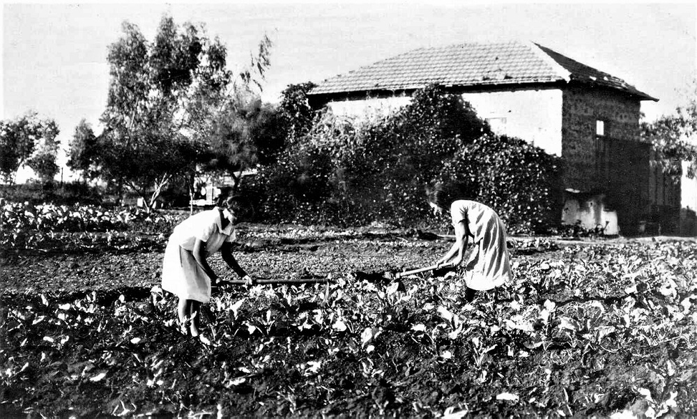פועלות בעבודתן בגידול ירקות, נחלת יהודה, שנות העשרים במאה ה-20. (PHG\1008065)