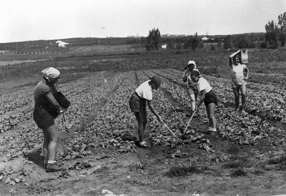 גן הירק במשק הפועלות "עיינות", צלם: זולטן קלוגר (PHWI\1245168)