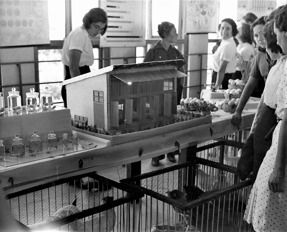 חניכות בית הספר החקלאי "עיינות" מציגות את תוצרת הלול, 1940. צלם: רודי וסרשטיין (PHWI\1245195)