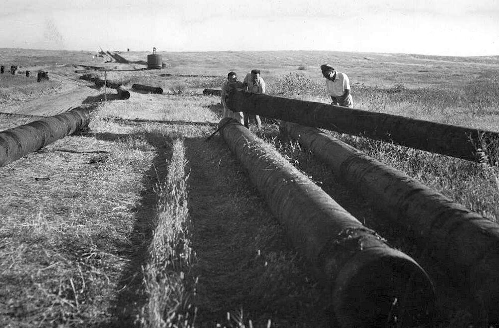 חברי קיבוץ מפלסים מניחים צינורות מים סמוך לעלייתו על הקרקע ב-1949. (PHKH\1273724)