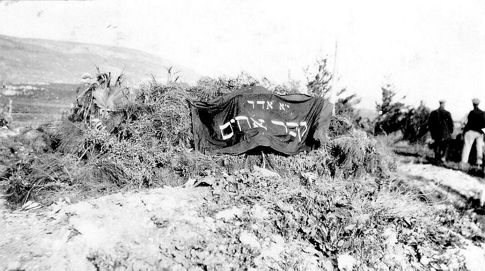 מבקרים פוקדים את קברם הזמני של חללי תל־חי