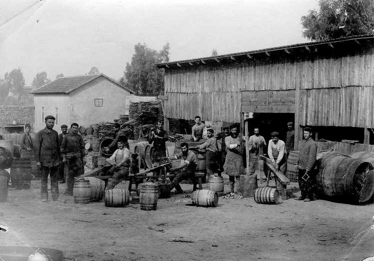 ייצור חביות ביקב ראשון לציון (PHG\1001166) 