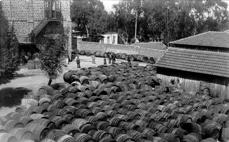 חביות ליין ביקב ראשון לציון, 1900 (PHG\1010633)