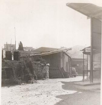 כניסת אוטובוסים.jpg