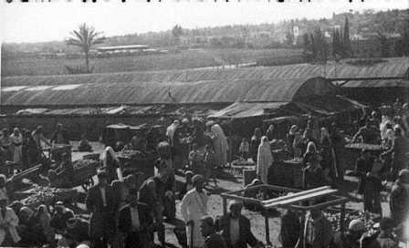 Gaza, the beginning of the 20th century (PHG\1065482)
