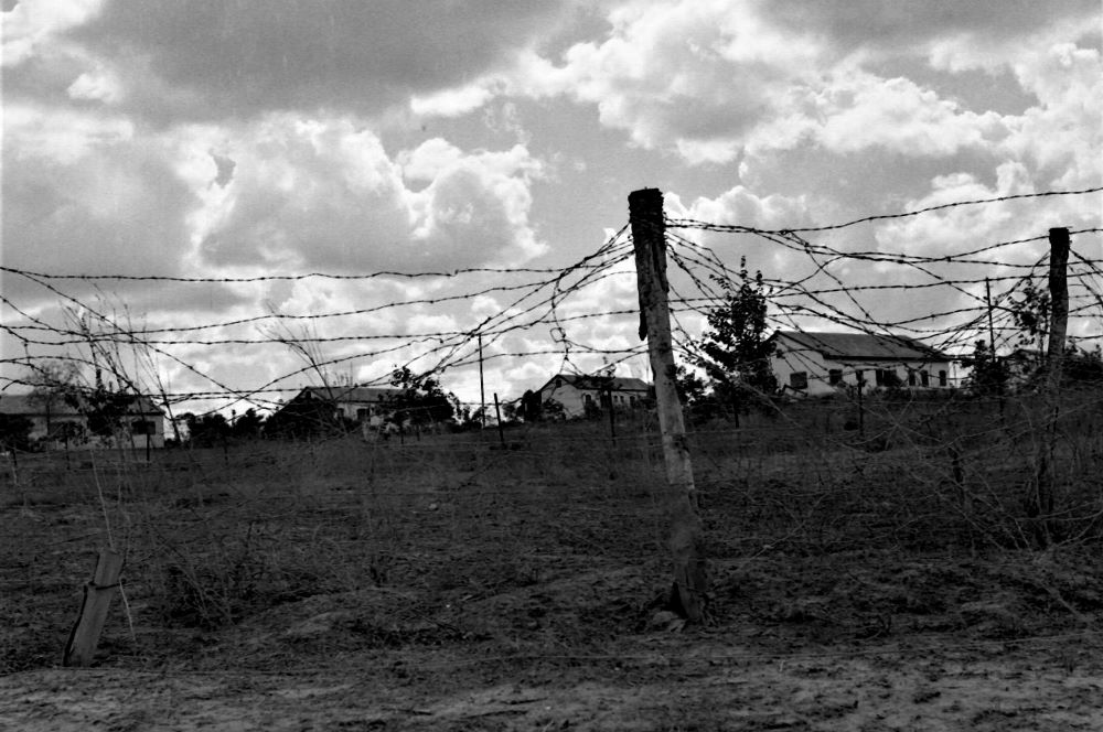 קיבוץ נחל עוז, 1955. צלם: פריץ שלזינגר (NSC\117726)