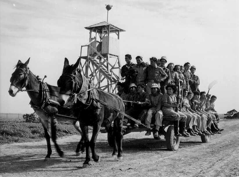 אנשי נחל עוז בדרך לעבודה, 1953 (PHG\1017080)