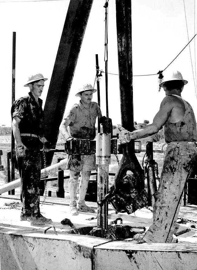 פועלים בקידוח הנפט בחלץ, ספטמבר 1955 (PHG\1016630)