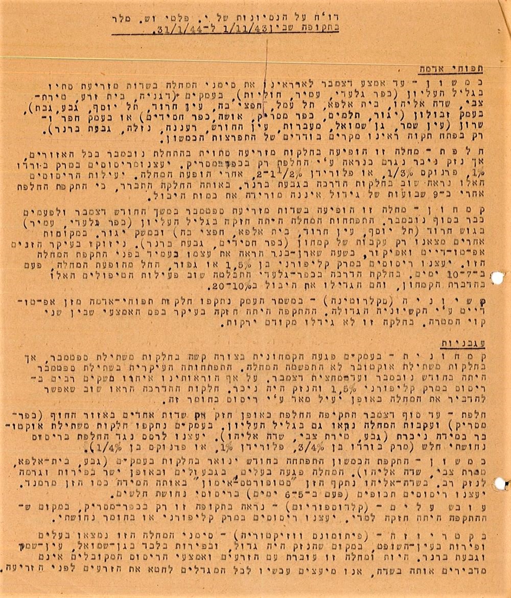 דו"ח של המדריכים החקלאיים שמואל מלר ויוסף פלטי על ניסיונות בגידול תפוחי אדמה, 1944-1943 (S15\4129)