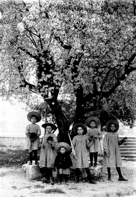 ילדים בירושלים ליד שקדייה פורחת מחזיקים בשתילים ובמעדרים, ט"ו בשבט 1912. צילום: יעקב בן דב (PHG\1017692)